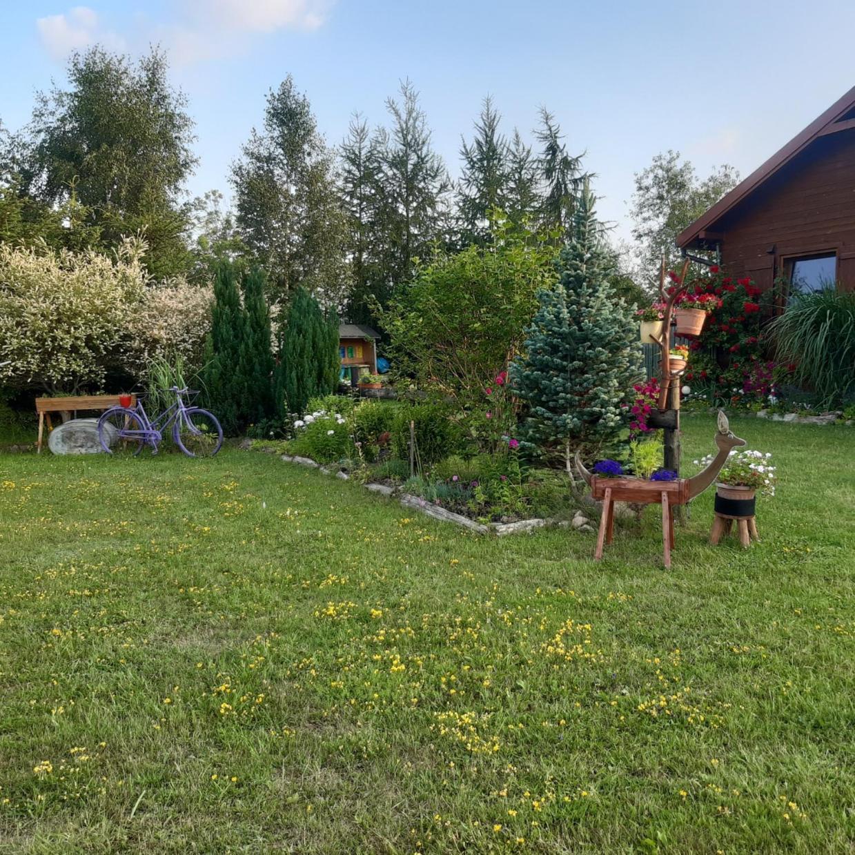 Domek W Kwiatach Zyndaki Экстерьер фото